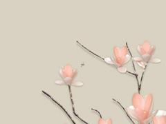 二婚想離婚對方不同意 二婚一方不愿意離婚如何快速離