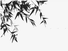 姓廖的好聽的名字