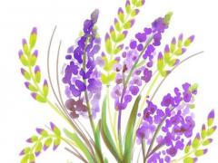 楊森批范冰冰八字 范冰冰生辰八字解析