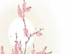 2017年屬鼠戴什么手鏈 鼠年戴什么手鏈