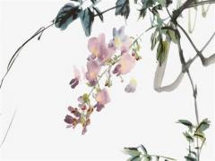 屬猴2023年齡對照表,屬猴的2023年怎么樣