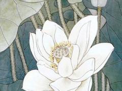 88年屬龍的人命硬不,88年的龍命運(yùn)咋這么糟糕