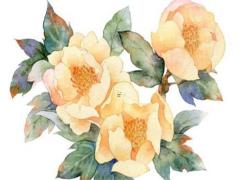 冬月是新歷哪一個月 冬月是農歷的哪一個月