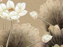 2023年1978年屬馬的運勢