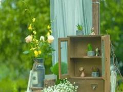 星座查詢農(nóng)歷轉(zhuǎn)陽歷 速查