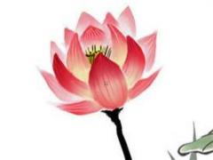 免費五行八字起乳名 寶寶取名生辰八字五行查詢免費