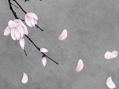 84年屬鼠女一生婚配,84年女最佳婚配