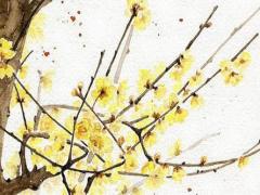 男女起名的差異 男女起名忌諱