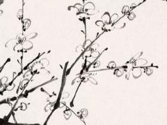 從八字看對方喜歡你 八字看喜歡一個人的原因