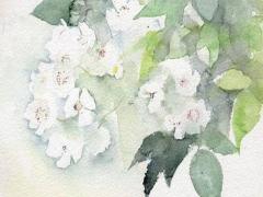 超拽霸氣的兩閨蜜網(wǎng)名，半世浮華丶只為你留戀