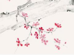 老公***該怎么冷靜處理 老公***后