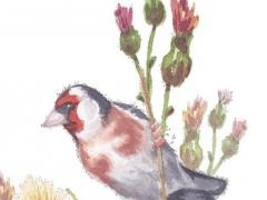 夫妻倆都覺得委屈 夫妻之間委屈的說說