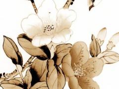 屬龍男跟屬蛇女婚配好嗎,屬龍男跟屬蛇女合適嗎