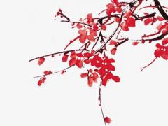 八字劉海梳什么發型好看圖片 八字劉海怎么梳頭