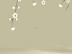 77年屬蛇2023年的感情,1977年的蛇2023年感情