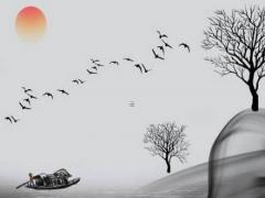 塔羅牌占卜免費測試離婚 塔羅占卜離婚能成功嗎