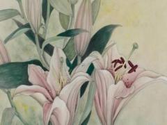 草字頭的牛寶寶取名 大氣好名推薦