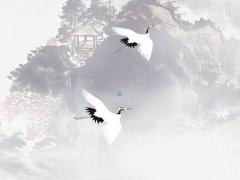 屬兔45歲能做什么生意好,屬兔人過了45歲后指望誰