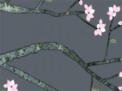 深圳那位老師看八字準 深圳算八字風水一條街