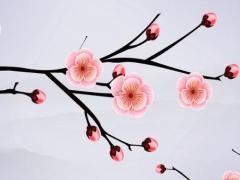 楊蓓蓓周易婚姻算命網 楊蓓玲老師