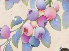 生辰五行對照表 生辰五行查詢表