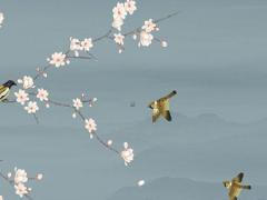 大器晚成八字命理 大器晚成的八字命理特征