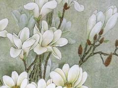 八字看陰歷生日還是陽歷生日 八字看農歷還是陰歷