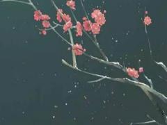 算命己字是什么意思 算命己運是什么意思