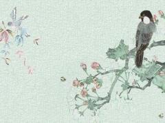 塔羅牌在線占卜太陽代表什么意思 塔羅牌的太陽什么意思