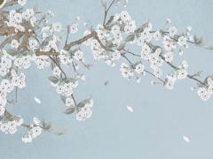 屬牛女更佳婚配對象 屬牛女最佳配對