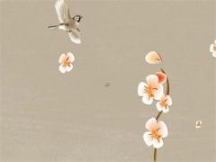 算命結婚家財是什么意思 算命婚姻