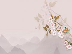 屬龍2023年多大年齡,2023年屬龍要出大事