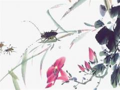 屬兔命好還是屬龍命好,2023年幾月兔一等命