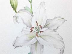 83年屬豬男在今年婚姻狀況怎么樣,83年屬豬男的婚姻三大坎哪幾