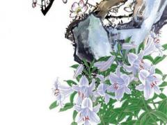 可愛的英文單詞 cute可愛的英語