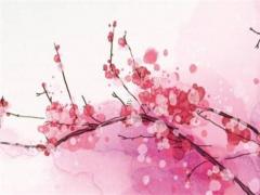 摩羯與白羊配對指數高嗎女 摩羯座和白羊座女生配嗎