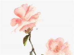 屬鼠男蛇女最佳婚配屬相,屬鼠男屬蛇女相配嗎