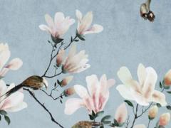 屬鼠與屬虎婚姻,屬鼠的和屬虎的結(jié)婚