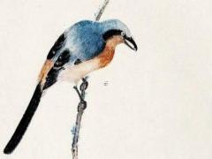 摩羯男討厭一個人的表現 摩羯男討厭你的表現