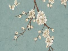 屬蛇女戴什么首飾,屬蛇女適合佩戴什么首飾