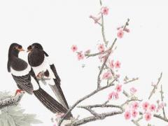 最新的保潔公司名字 大氣的保潔公司名字