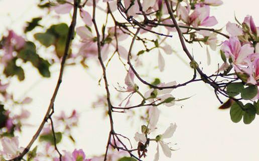 7月30號(hào)是鬼節(jié)嗎 7月30號(hào)是鬼節(jié)嗎為什么 7月30號(hào)是鬼節(jié)嗎 7月30號(hào)是鬼節(jié)嗎為什么