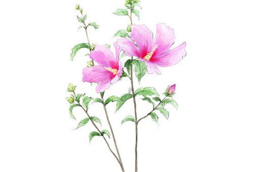 算命的說不是離婚就是生死相離 算命的說不會離婚卻離婚了