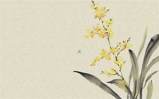 陰歷八月的兔寶寶好不好 農歷八月份的兔寶寶好不好