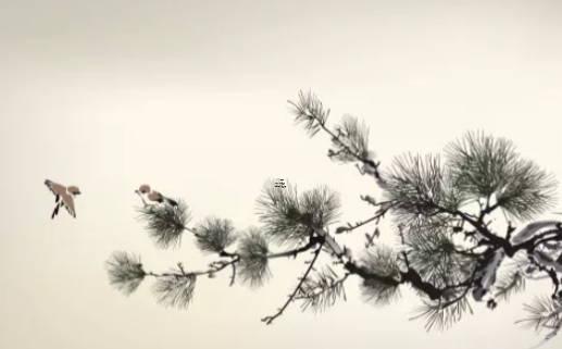 運氣不好的時候應該怎么做 運氣一直很差怎么破解