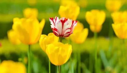 周公解夢梳水 夢見梳子順?biāo)h走了
