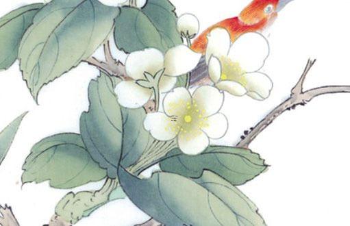 屬兔配屬兔的婚姻怎樣,屬兔配兔的命運怎么樣