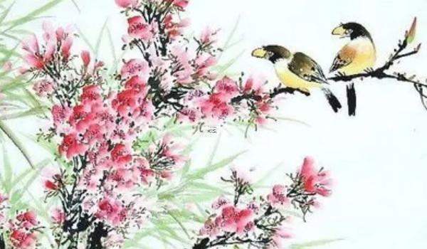 屬蛇人床頭掛什么畫好,屬蛇床頭放什么壁畫最旺