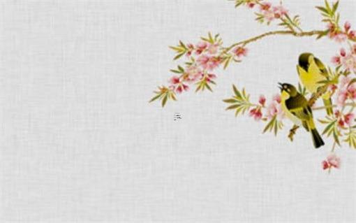 1981屬雞幾月命苦 1981屬雞人幾月出生命最好