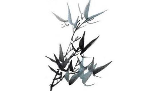 屬蛇用什么數(shù)字的手機號,屬蛇的手機號碼幸運數(shù)字